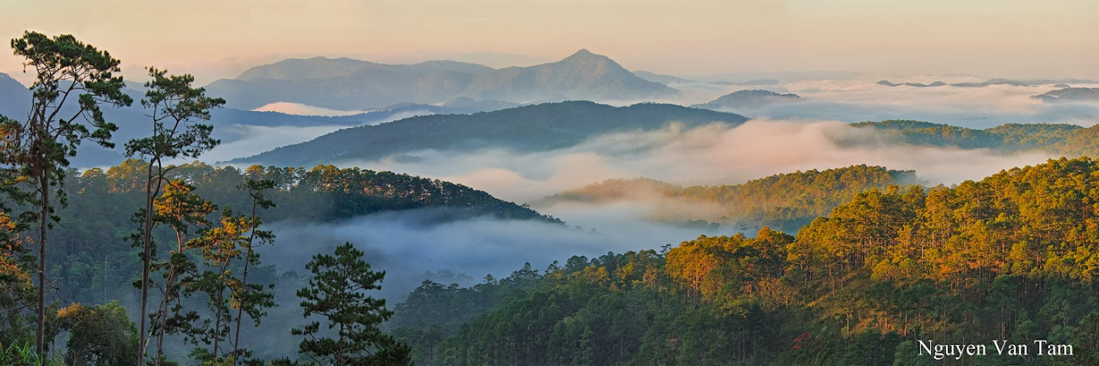 Đà Lạt 